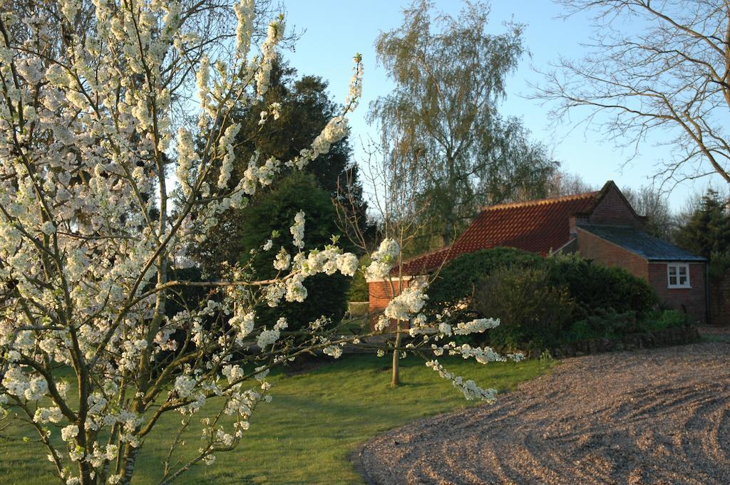 East Harling Field Cottage Bed And Continental Breakfast חדר תמונה