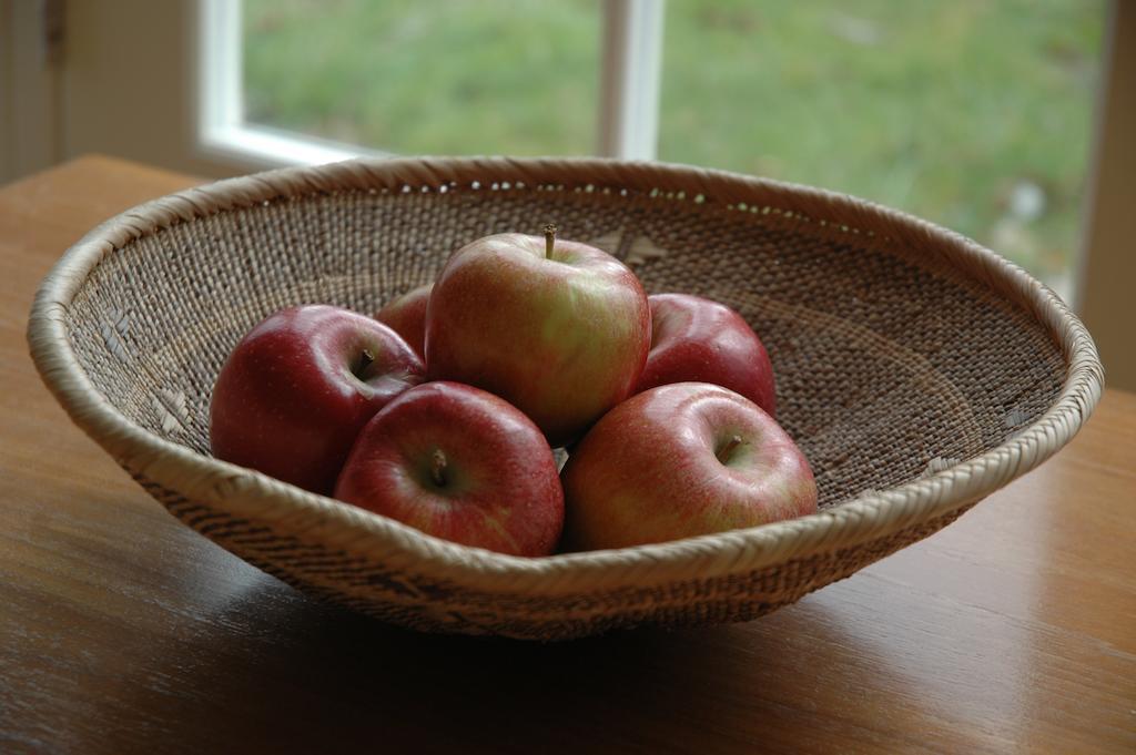 East Harling Field Cottage Bed And Continental Breakfast מראה חיצוני תמונה